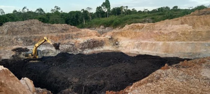 Indonesian Coal gallery image 3